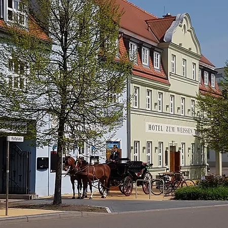 Zum Weissen Ross