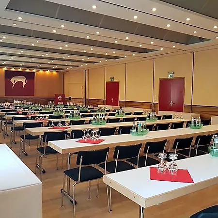 祖姆维森罗斯酒店 酒店
