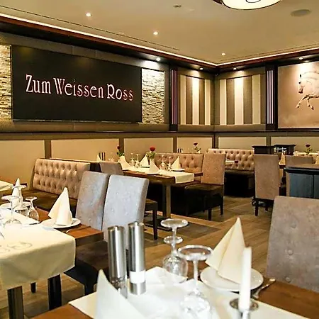 祖姆维森罗斯酒店 酒店 德里奇