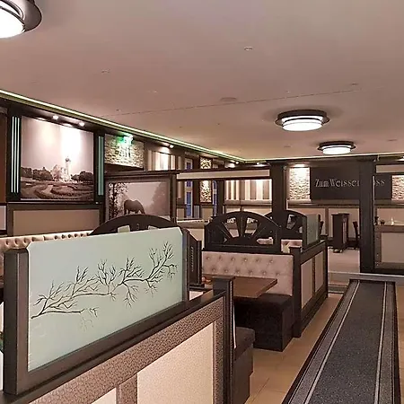 祖姆维森罗斯酒店 3* 德里奇