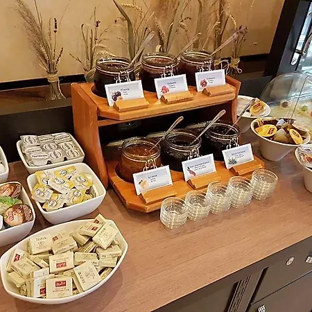 祖姆维森罗斯酒店 3* 德里奇