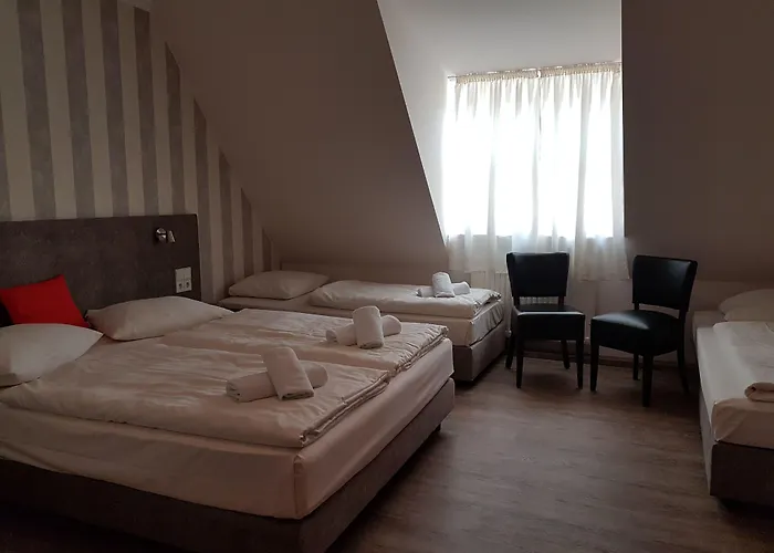 Zum Weissen Ross فندق