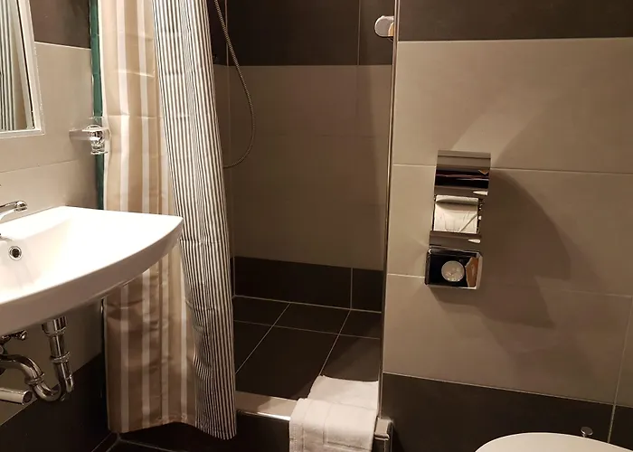 Zum Weissen Ross 3* ديلتزش