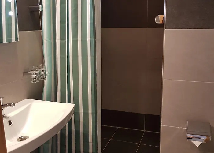 Zum Weissen Ross فندق