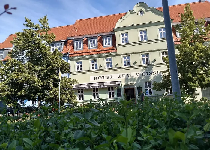 Zum Weissen Ross فندق ديلتزش