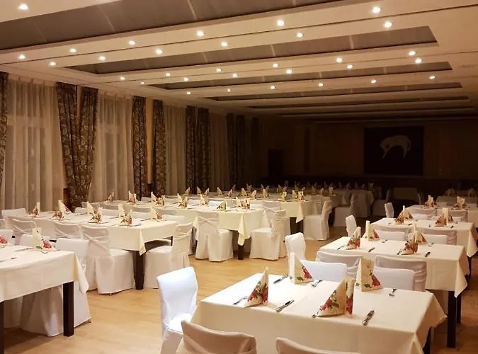 Zum Weissen Ross فندق