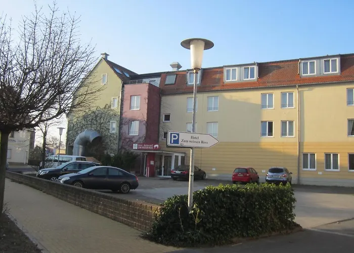 Zum Weissen Ross فندق