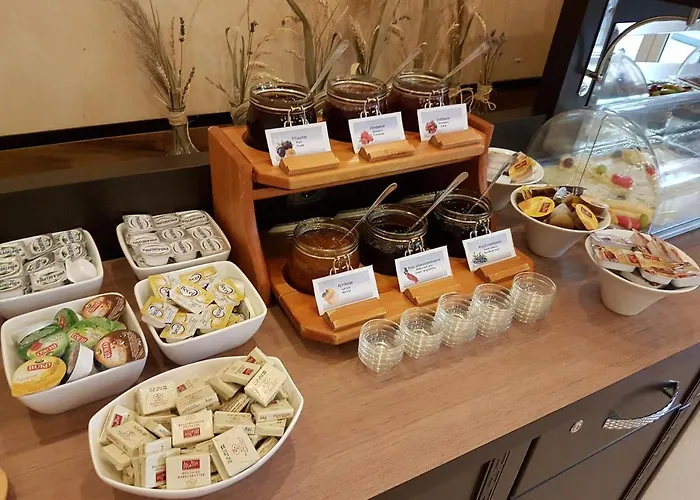 Zum Weissen Ross فندق